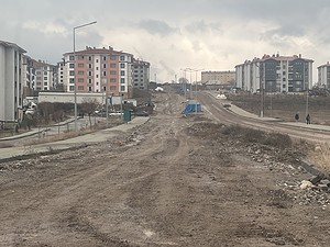IMG_1331