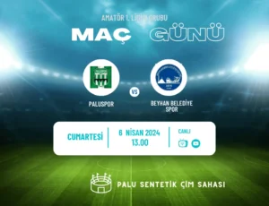Palu Spor