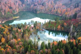Artvin