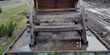 Kamelyalar Belediye Tarafından Kesildi