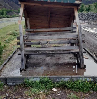 Kamelyalar Belediye Tarafından Kesildi
