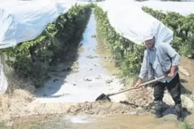 Sıcağa Karşı Korunma