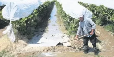 Sıcağa Karşı Korunma