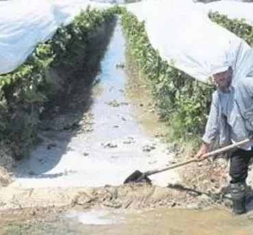 Sıcağa Karşı Korunma
