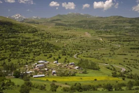 Ardahan