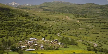Ardahan