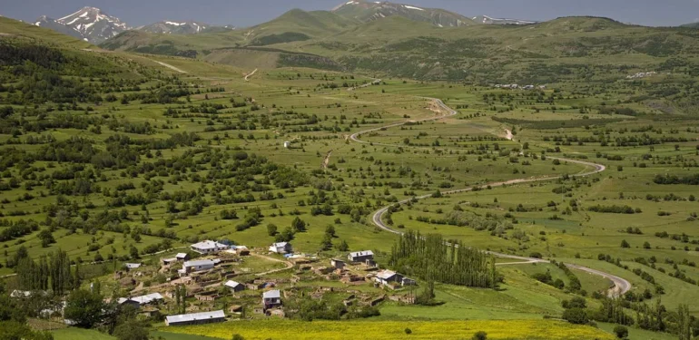 Ardahan