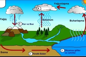 Yağmur Nasıl Oluşur?