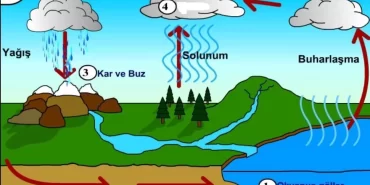 Yağmur Nasıl Oluşur?