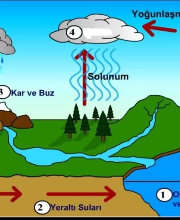 Yağmur Nasıl Oluşur?