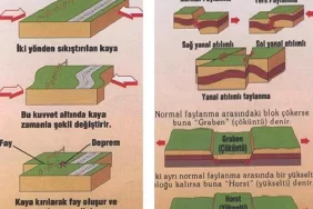 Fay Hattı Nedir?