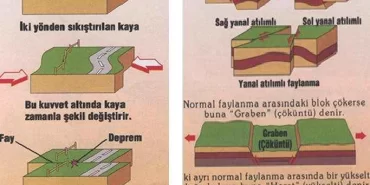 Fay Hattı Nedir?