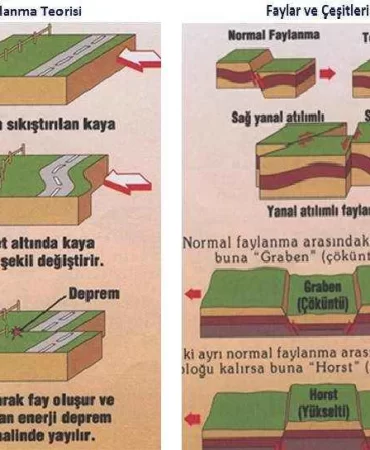 Fay Hattı Nedir?