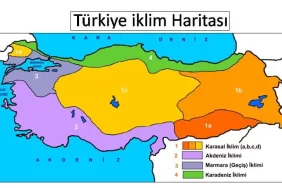 Türkiye'nin İklimleri