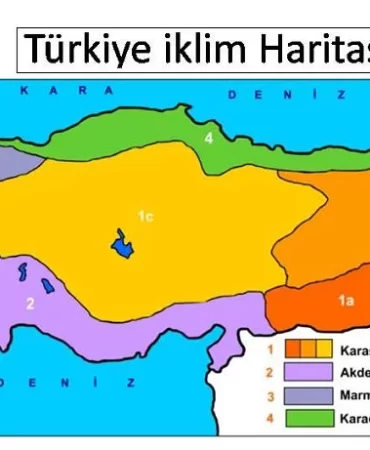 Türkiye'nin İklimleri