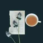Türkiye\'de Çay Tarımı