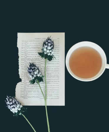 Türkiye\'de Çay Tarımı