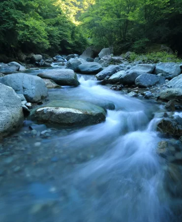 Asi Nehri