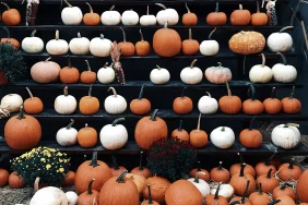 Cemre Toprağa Düştü mü?