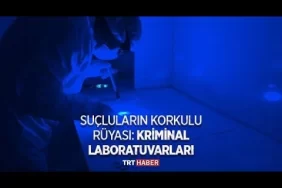 Kriminal İnceleme Nedir?