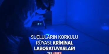 Kriminal İnceleme Nedir?