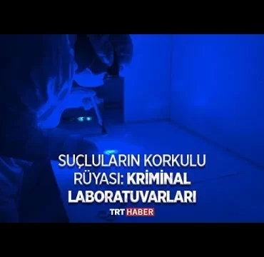 Kriminal İnceleme Nedir?