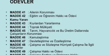 Türkiye Cumhuriyeti Anayasaları